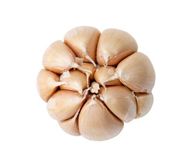 Top view of single fresh white garlic bulb isolated on white background with clipping path, Thai herb is great for healing several severe diseases, heart attack