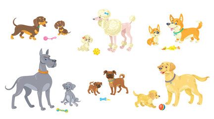 Adult dogs with their puppies. Set of different breeds. Dachshund, Poodle, Corgi, Great Dane, Belgian Griffon and Golden Retriever. In cartoon style. Isolated on white. Vector flat illustration.