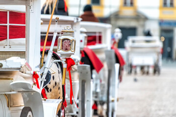 horses with carriage on the main square of Krakow