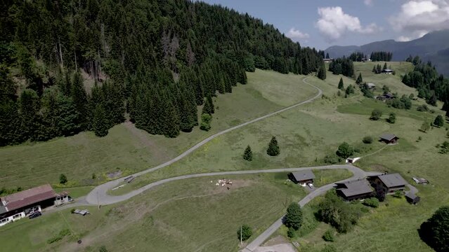 Sharp corners in road of French Alps village Les Gets mountain slope of Mont Chery during summer. Ski area mountainous winter sports region.