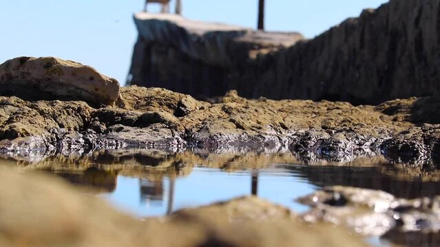 tide pools at low tide