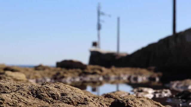 Blurry background of tide pools