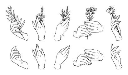 Linear vector set hands with flowers and standalone floral elements