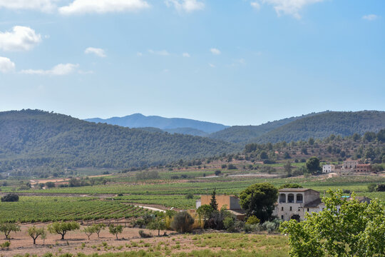 Paisajes del Baix Pened&egrave;s en Catalu&ntilde;a