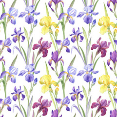 Floral seamless pattern with the purple and yellow irises on the transparent background. Elements are painted with watercolors; perfect for the summer design projects, home textile and wrapping paper