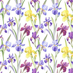 Fototapeta premium Floral seamless pattern with the purple and yellow irises on the transparent background. Elements are painted with watercolors; perfect for the summer design projects, home textile and wrapping paper