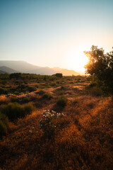 Sunrise in nature of central California