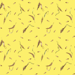 Wheat ear, barley watercolor seamless pattern on yellow background. Spikelet of rye, malt stalk hand drawn. Design element for textile, wrapping, packaging, label grocery, bakery, paper