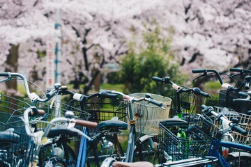 Poster Bicycle parking in sukura pink flower blossom blooming park © themorningglory