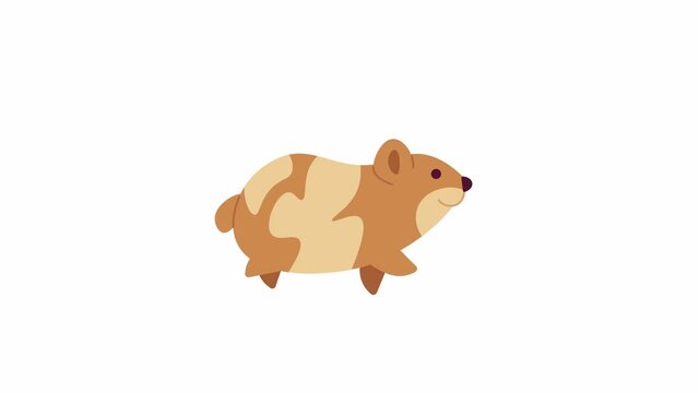 Running dwarf hamster 2D character animation. Small adorable pet walking flat cartoon 4K video, transparent alpha channel. Syrian hamster. Rodent cute in rush animated animal on white background