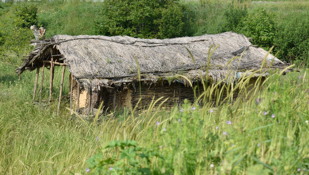 A little wicker house and overgrown grass. Archaeological site in the village Pločnik by the Toplica River in Serbia, Europe.