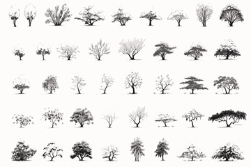 set of trees, tree, silhouette, vector, nature, leaf, forest, black, palm, branch, pine, plant, trees, art, set