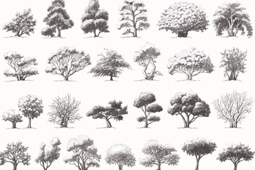 set of trees, tree, silhouette, vector, nature, leaf, forest, black, palm, branch, pine, plant, trees, art, set