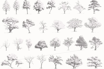 set of trees, tree, silhouette, vector, nature, leaf, forest, black, palm, branch, pine, plant, trees, art, set