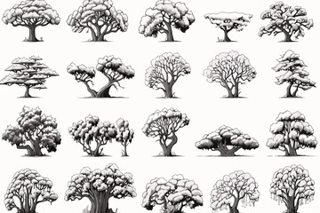 silhouettes of trees, tree, silhouette, vector, nature, leaf, forest, trees, illustration, branch, black, plant