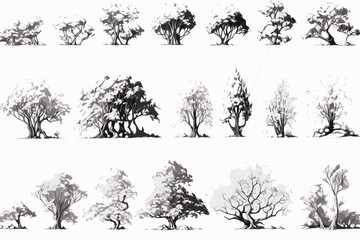 Fototapeta premium tree, silhouette, vector, nature, leaf, forest, illustration, black, branch, trees, palm, pine, plant, art, set, oak, design, outline, wood, drawing, leaves, birch, icon, autumn, collection
