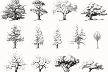 tree, silhouette, vector, nature, leaf, palm, black, plant, illustration, forest, pine, branch, flower, art, design, pattern, trees, oak, set, drawing, outline, wood, decoration, botany