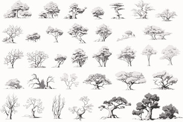 Fototapeta premium collection of trees vector