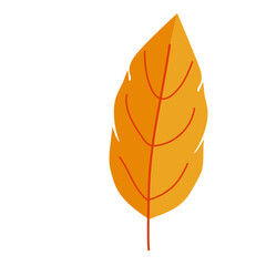 Autunm Leaf