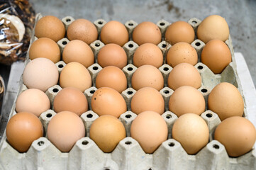 Fresh eggs in the shell for sale at the market.