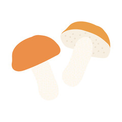 アカエノキンチャヤマイグチ。フラットなベクターイラスト。
Red-capped scaber stalk. Flat designed vector illustration.