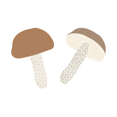 ヤマイグチ。フラットなベクターイラスト。
Rough-stemmed bolete (scaber stalk, birch bolete). Flat designed vector illustration.