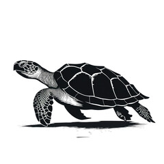 Obraz premium turtle looking isolated on white