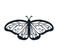 butterfly simple line art, flying insect