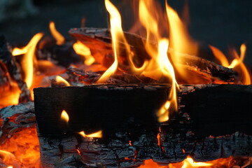 Fototapeta premium Feuer in einer Schale