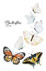 Set of watercolor butterflies collection