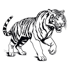 Angry tiger vector illustration, isolated on white background.