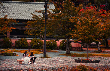 children playing in the park