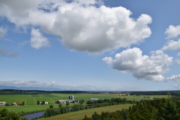 Farms in cultivation in summer, Montmagny, Québec, Canada