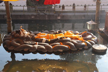 The statue of Lord Vishnu, perched on a pond in Kathmandu, Nepal, the statue of the sleeping Vishnu is covered with flowers for the morning ceremonies - obrazy, fototapety, plakaty