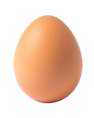 Chicken Egg