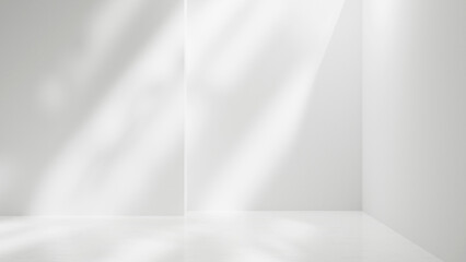 Blank white empty room corner and sunlight with leafs shadows, empty white copy space background
