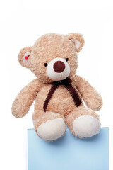 teddy bear and a gift with clear background