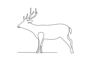 deer continuous line art drawing