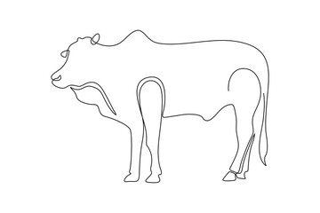 continuous line art drawing of a cow