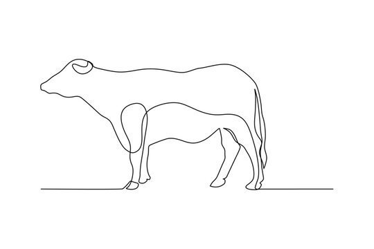 buffalo continuous line art drawing
