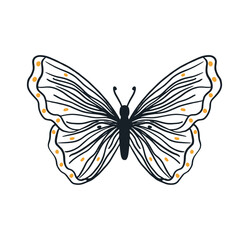 butterfly simple line art, flying insect