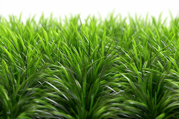 Fototapeta premium green grass in closeup against white background Generative AI