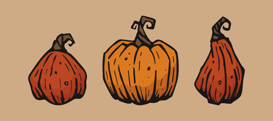 Illustration of pumpkins in vintage style. Vector.