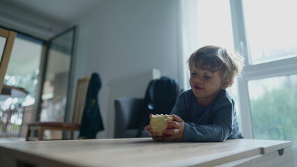 Little boy eating apple fruit child eats healthy snack