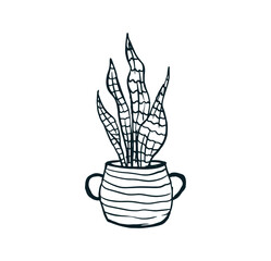 Aesthetic Modern, Boho Decor, Minimalist.  House plant in vase vector. 