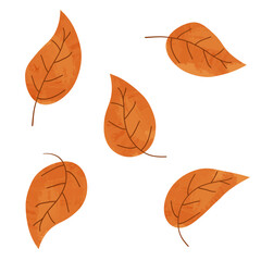 Dry autumn leaves of ash and birch in different colors with a watercolor texture. Top view of autumn tree leaf. Golden, red, brown autumn foliage. Flat vector illustration isolated on white background