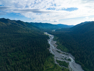Fototapeta premium Located on the Olympic Peninsula, the beautiful Hoh river flows through one of the largest temperate rainforests in the U.S. Receiving over 100 inches of rain, the region is lush with flora and fauna.