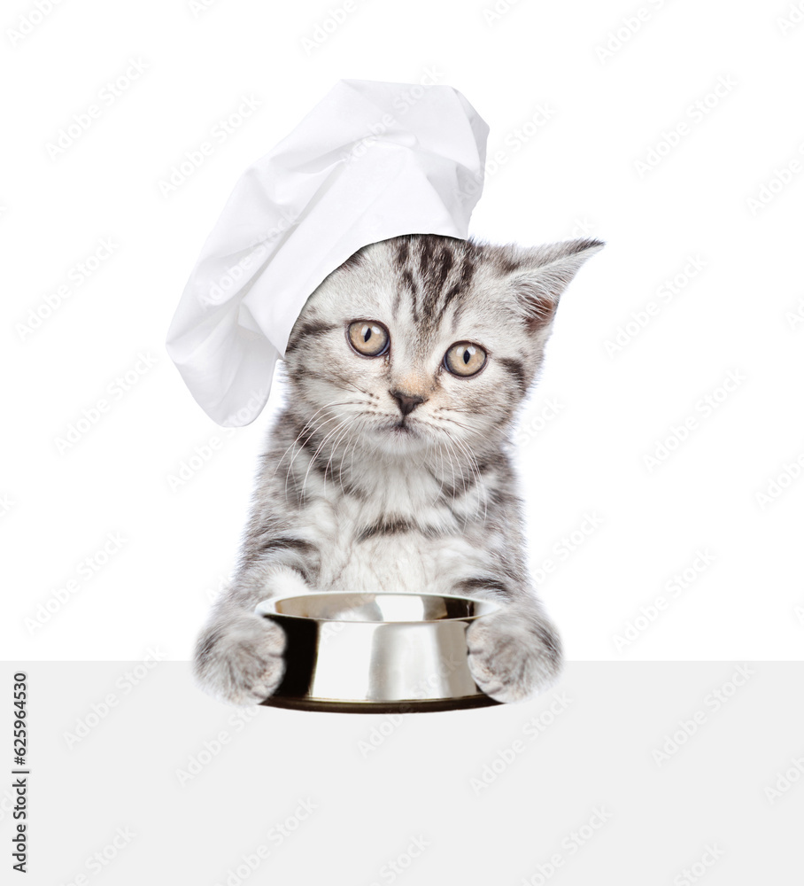 Poster cat wearing chef's hat holding empty bowl and looking above empty white banner. isolated on white ba