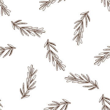 Hand-drawn vector seamless pattern of rosemary branch. Vintage doodle illustration. Sketch for cafe menus and labels. The engraved image.