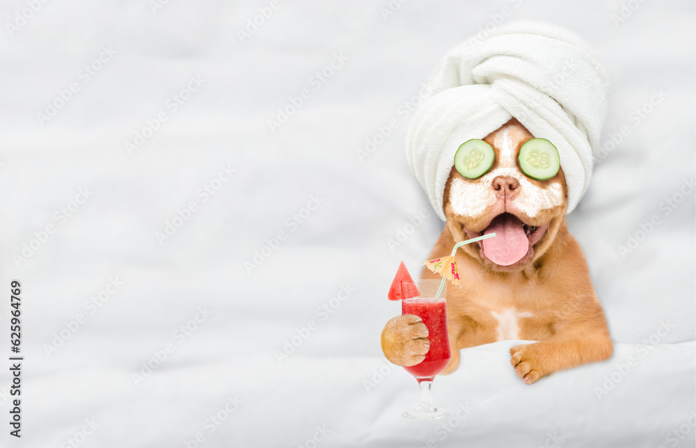 Poster funny mastiff puppy with towel on it head and with cream on his face and a piece of cucumber on his 
